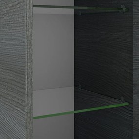 Colonna per mobile bagno Solitaire PELIPAL 1 cassetto 2 ante P 33 x L 30 x H 168 cm graphite