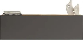 Mobile TV Sospeso 100 Cm 1 Anta Frontale Legno E Antracite Roy