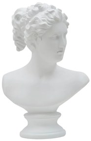 Scultura Elegante Donna Romana 21,5x14,5x34 cm