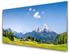 Quadro in vetro acrilico Paesaggio di montagna di campi di alberi 100x50 cm