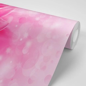 Carta da parati autoadesiva – Fiore rosa