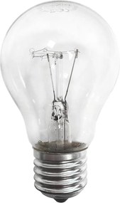 Lampadina robusta E27/100W/230V 2700K