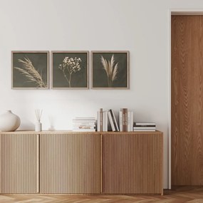 Set di dipinti 3 pz 30x30 cm Pampas – Styler