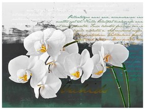 Fotomurale Orchidea: ispirazione del poeta
