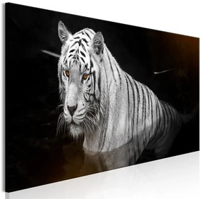 Quadro Shining Tiger (1 Part) Orange Narrow  Colore Arancione, Dimensioni e Misure 120x40