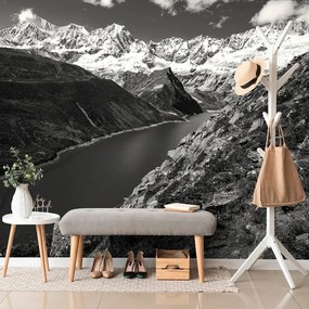 Fotomurale – Parco Patagonia in Argentina in bianco e nero