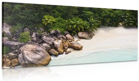 Quadro su tela – Costa delle Seychelles