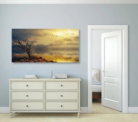 Quadro su tela – Albero secco