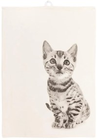 Asciugamano in cotone 70x50 cm Farm - Tiseco Home Studio