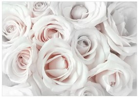 Fotomurale adesivo  Satin Rose (Pink)  Larghezza x Altezza Home decor 392x280