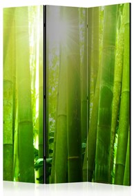 Paravento separè Sun and bamboo [Room Dividers]