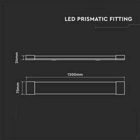 LED Lampada fluorescente SAMSUNG CHIP LED/40W/230V 3000K 120 cm