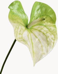 Set di 2 fiori artificiali Anthurium