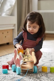 Trainabile - Scoiattolo