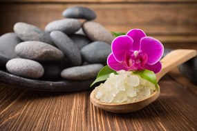 Carta da parati – Magia del benessere