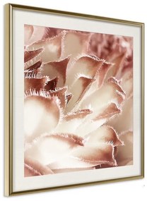 Poster  Floral Calyx  Cornice Quadri Cornice d'oro con passe-partout, Larghezza x Altezza Home decor 20x20