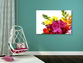 Stampa su tela – Bouquet di fresie colorate
