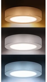 Solight WD240-S - Pannello LED 2 in 1 LED/12W/230V 3000/4000/6000K Ø17 cm IP54 argento