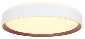 Plafoniera LED dimmerabile con controllo vocale OPAL LED/48W/230V + +TC