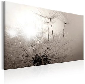 Quadro  Beautiful Summer: Dandelions  Colore bianco e nero, Dimensioni e Misure 120x80