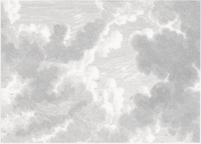 Carta da parati in tessuto non tessuto Engraved Clouds