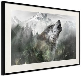 Poster  Wolf's Territory  Cornice Quadri Cornice nera con pass-partout, Larghezza x Altezza Home decor 30x20