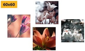 Set di quadri – Delicatezza dei fiori