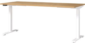 Tavolo da lavoro con altezza regolabile elettricamente e piano in rovere 80x180 cm Jet - Germania