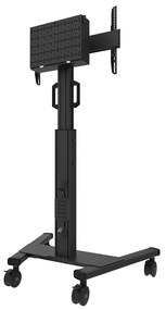 Supporto TV Neomounts FL50S-825BL1 37" 70 Kg