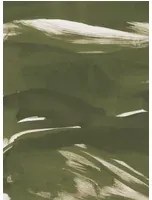 Coordonne Wandbild Marine Xray - Silvester