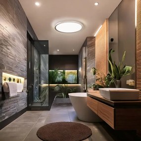 Solight WO825-LED Plafoniera da bagno ACATE 18W/230V 3000/4000/6000K Ø 22 cm IP54