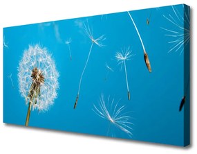 Quadro su tela Fiori di tarassaco Natura 100x50 cm