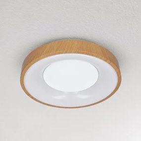 Brilagi - Plafoniera LED DORIA LED/24W/230V