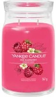 Red Raspberry, candela in giara grande Yankee Candle