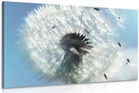 Quadro su tela – Dettaglio del soffione