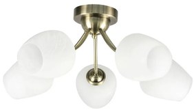 Lampadario a plafone ZINA 5xE27/40W/230V ottone/bianco