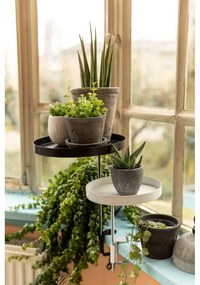 Set di 3 vasi in terracotta ø 10 cm - Esschert Design