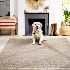 Tappeto beige per esterni 120x170 cm Zagora - Ayyildiz Carpets