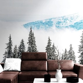 Fotomurale – Alberi di pino innevati
