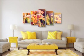 Quadri 5 pezzi – Bellissimi fiori in giardino
