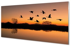 Quadro acrilico Sunset di uccelli volanti 100x50 cm