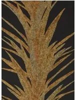 Tapete Yucca von Sanderson - Charcoal/ Gold