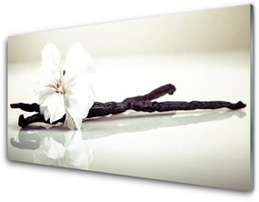 Pannello paraschizzi cucina Fiore, pianta, natura 100x50 cm