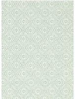 Sanderson Tapete Pinjara Trellis - Grass