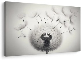 Quadro su tela – Soffione bianco e nero