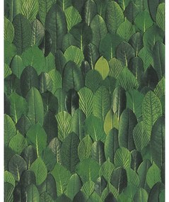 Carta da parati foglie verde, 53 cm x 10 m