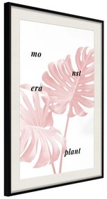 Poster  Pale Pink Monstera  Cornice Quadri Cornice nera con pass-partout, Larghezza x Altezza Home decor 20x30