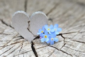 Fotomurale – Cuore su legno antico