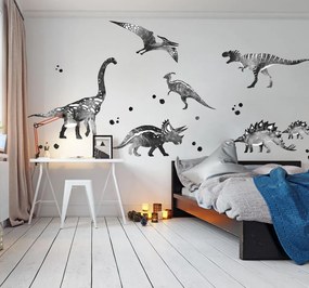 Adesivi da parete - Dinosauri in bianco e nero | Inspio