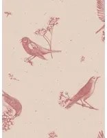 Coordonne Carta da parati Sweet Birds - Rose
